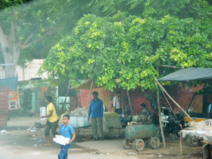 インドの住宅2