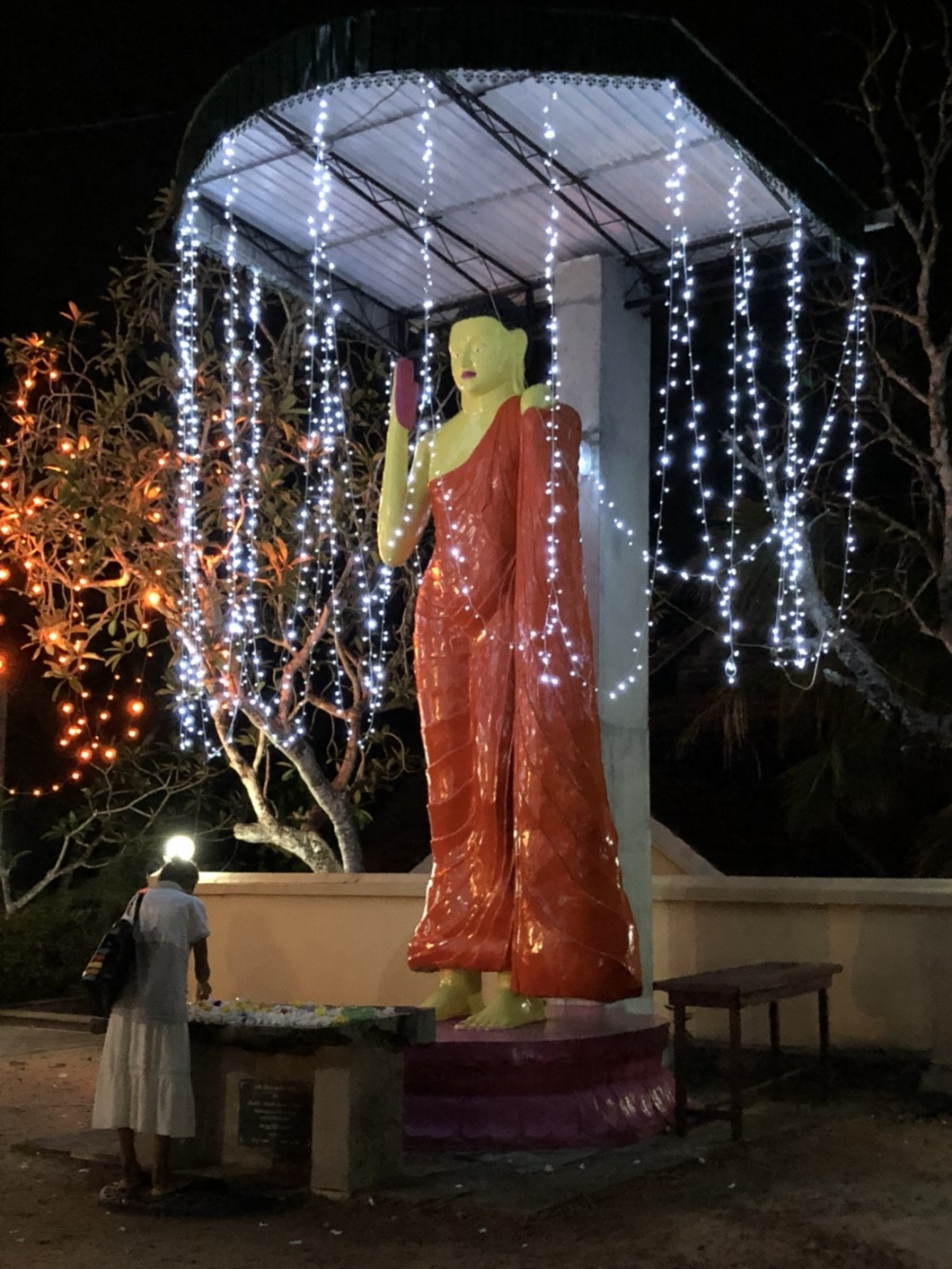 スリランカから学んだ幸せの価値観 - ワークライフバランスの森